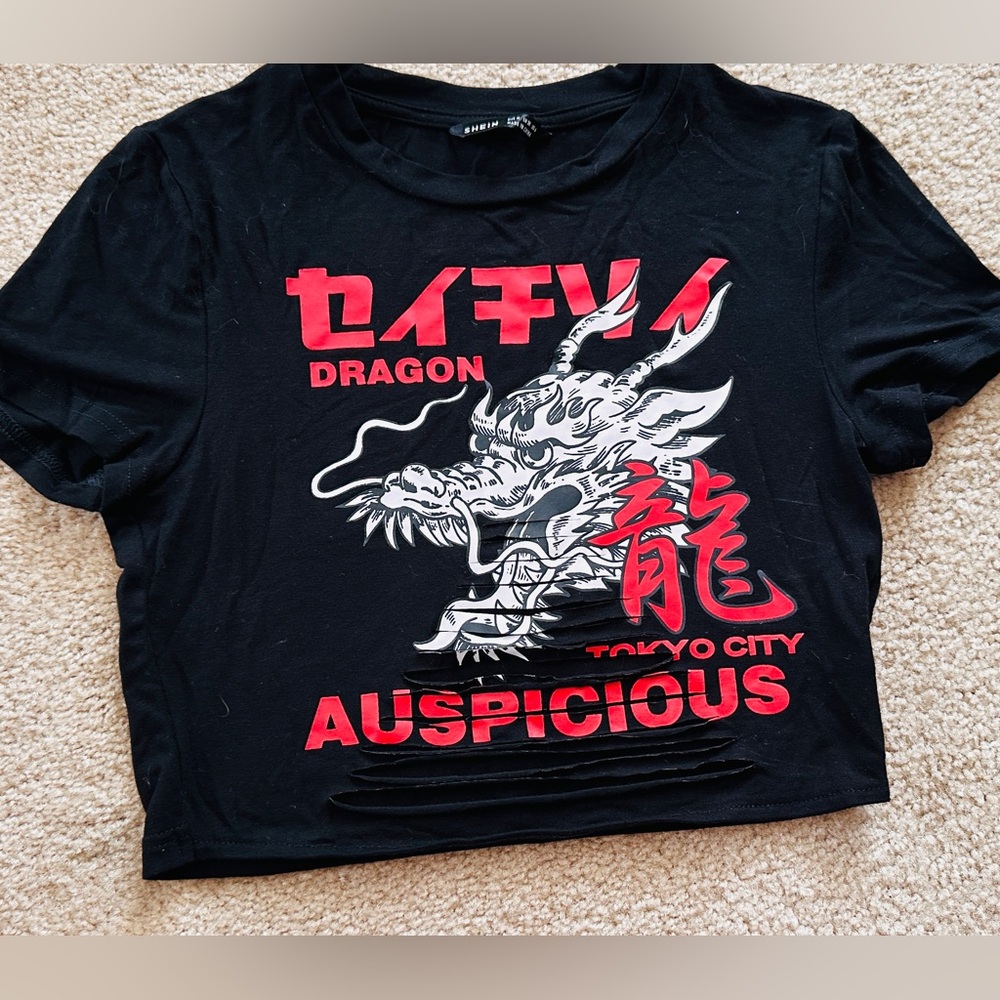 👕Three for $18 T-Shirt Sale Dragon Auspicious Crop Tee